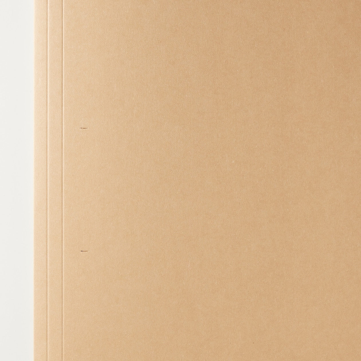 Buy MUJI Paper Folder - A4 (5pcs)