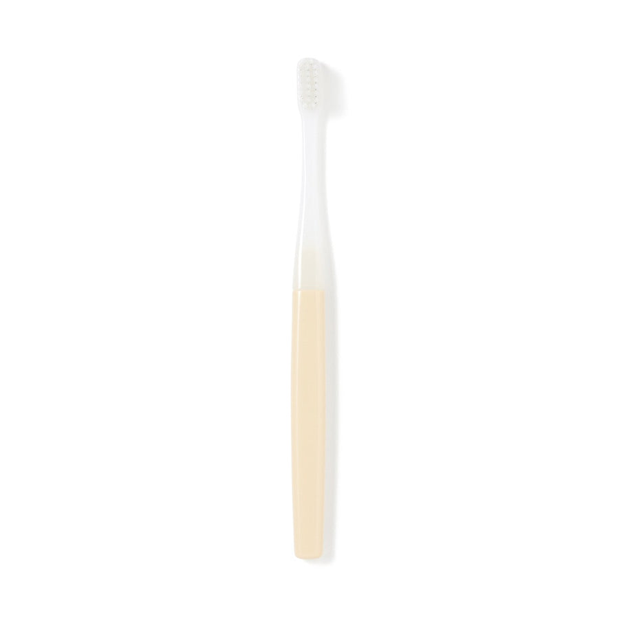 Replaceable Head Toothbrush