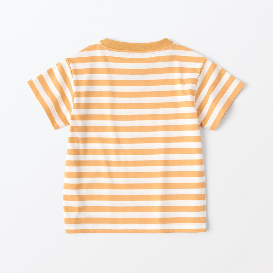 Baby Crewneck S/S T-Shirt(border) Grey Stripe80