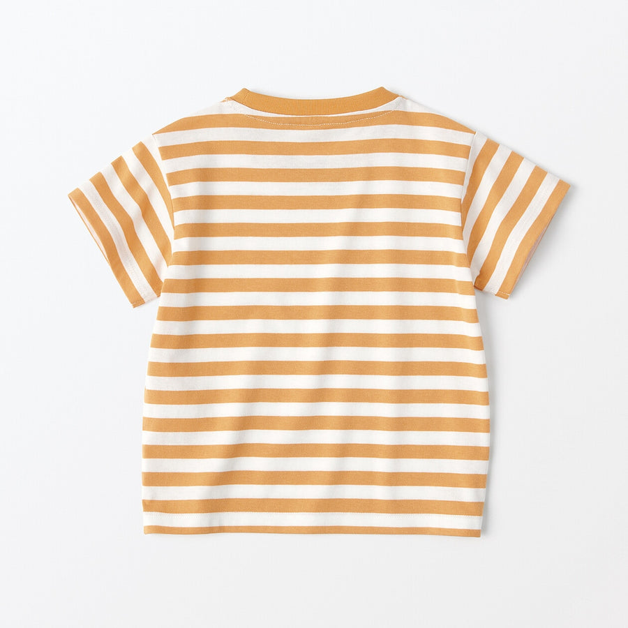 Baby Crewneck S/S T-Shirt(border) Grey Stripe80