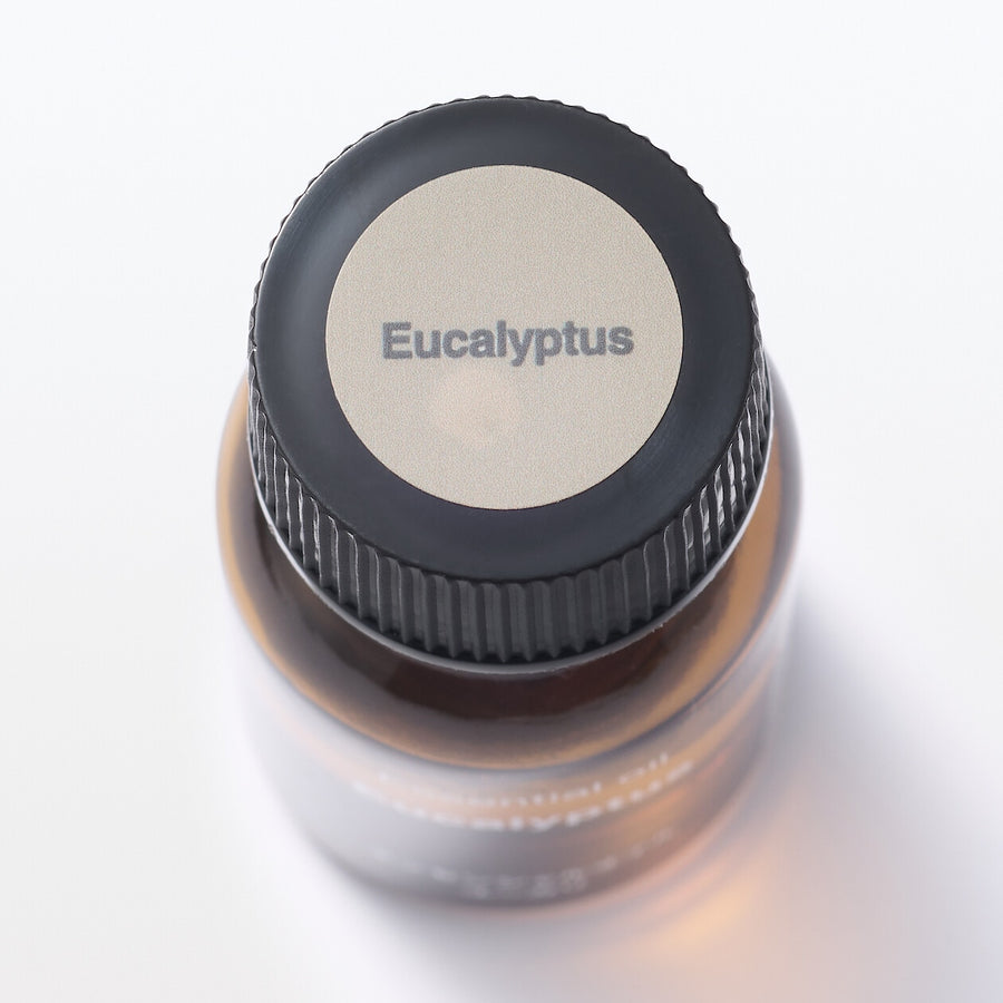 Essential oil Eucalyptus