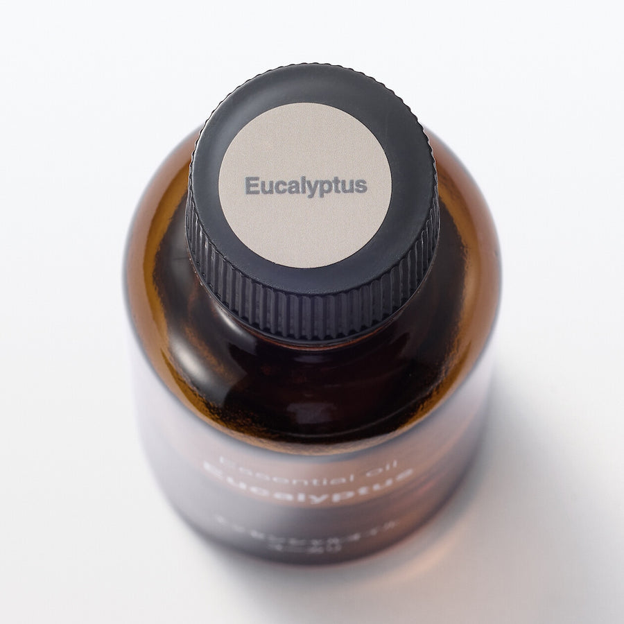 Essential oil Eucalyptus