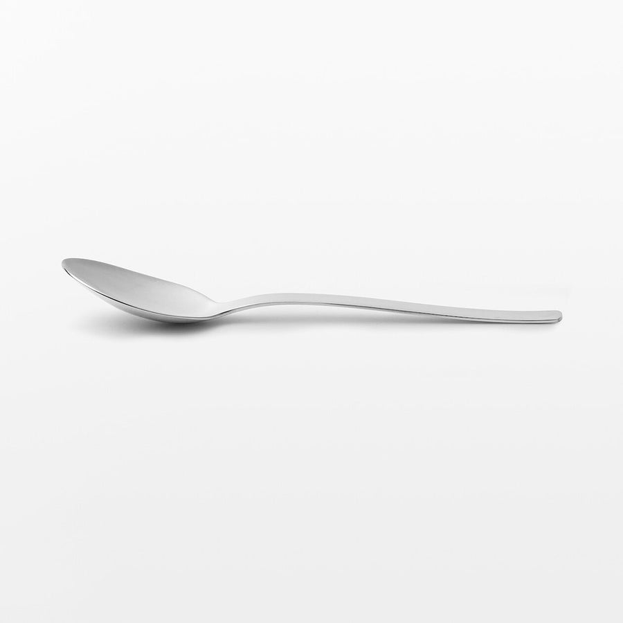 Stainless Steel Spoon - Large