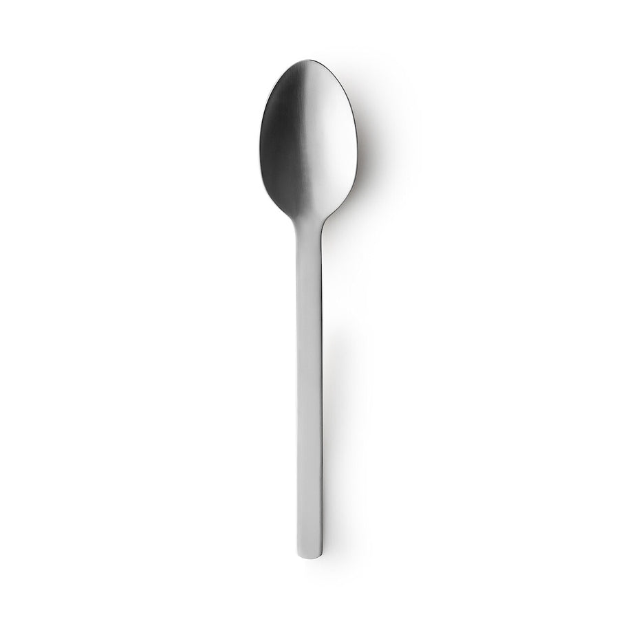 Stainless Steel Spoon - Large