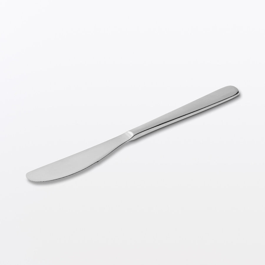 Stainless Steel Table Knife