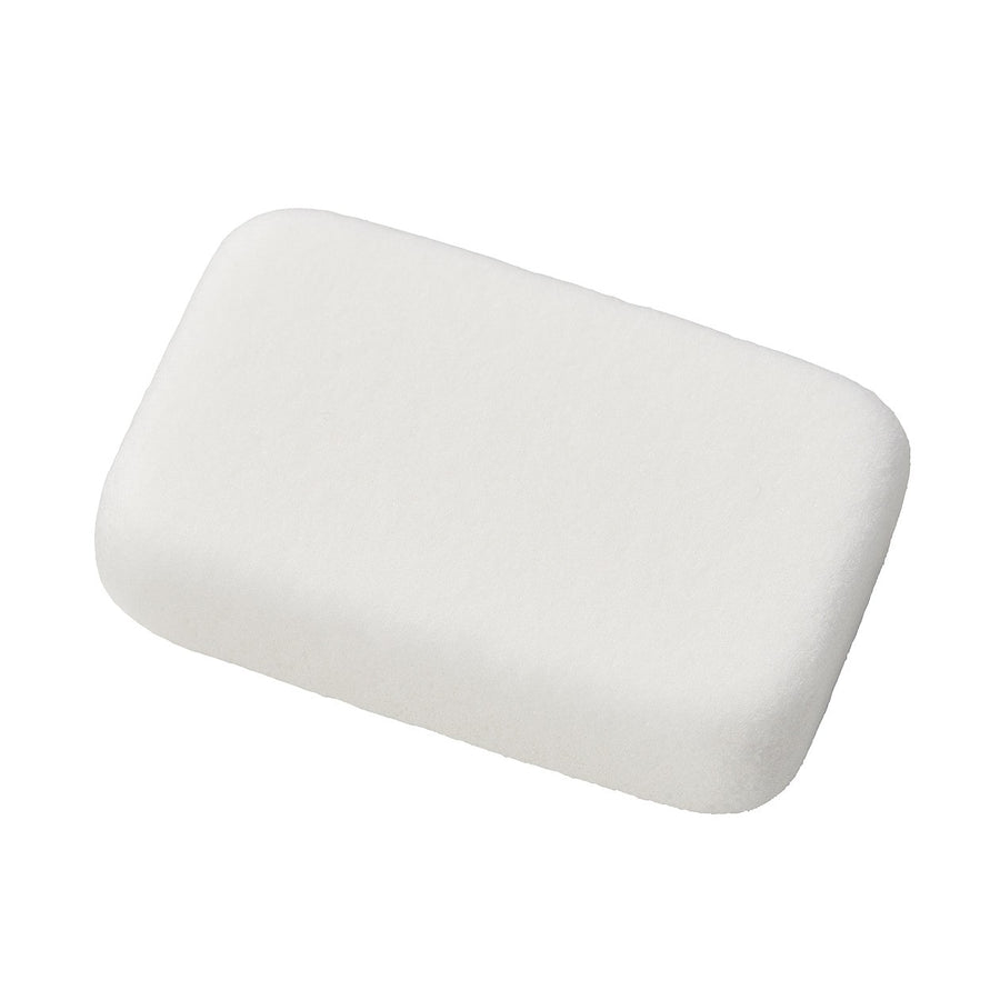 Pumice Stone