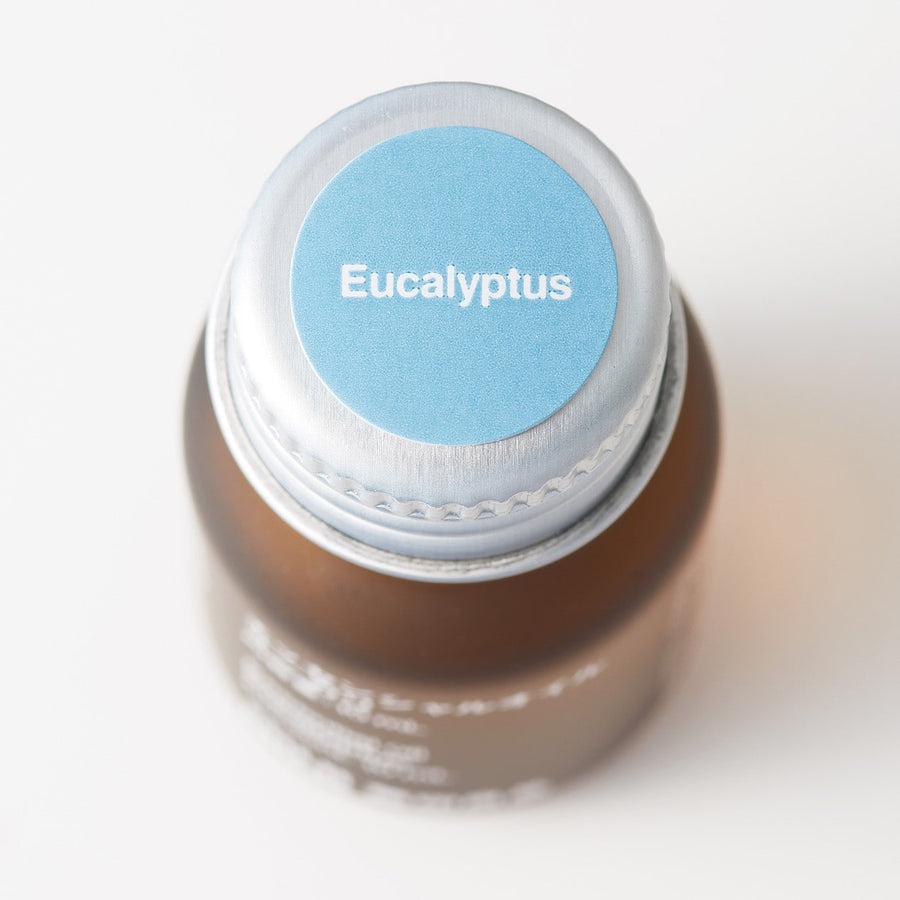 Essential Oil - Eucalyptus - MUJI Australia