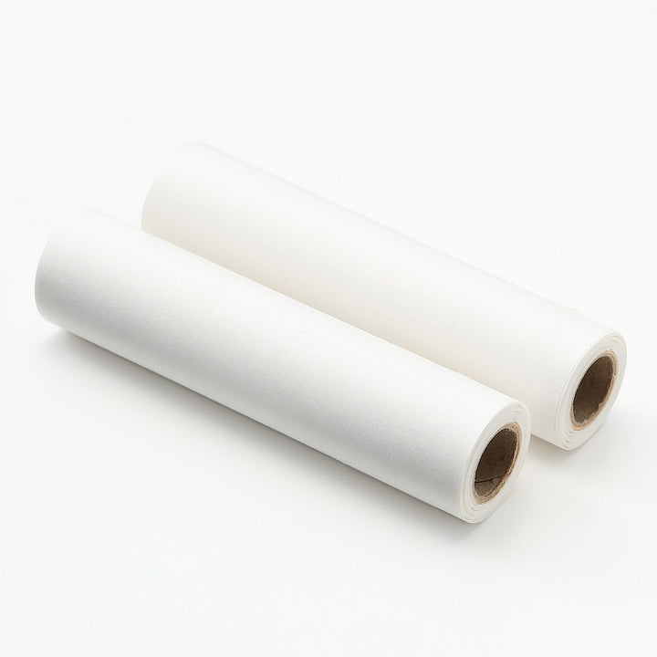 Portable Lint Roller Refill (2 Pack)